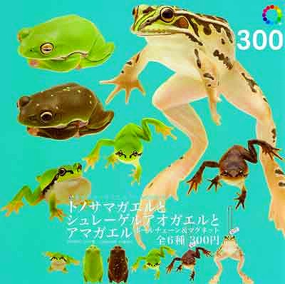 シュレーゲルガエルとアマガエル 5種セット KITAN★CLUB ガシャポン